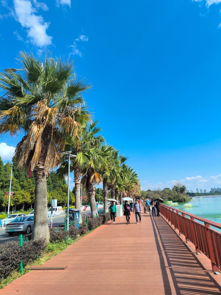 26052511132615510.jpg
